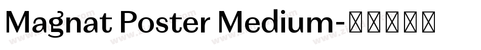 Magnat Poster Medium字体转换